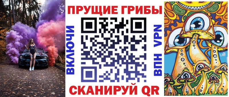 Псилоцибиновые грибы прущие грибы  купить наркоту  Камышин 