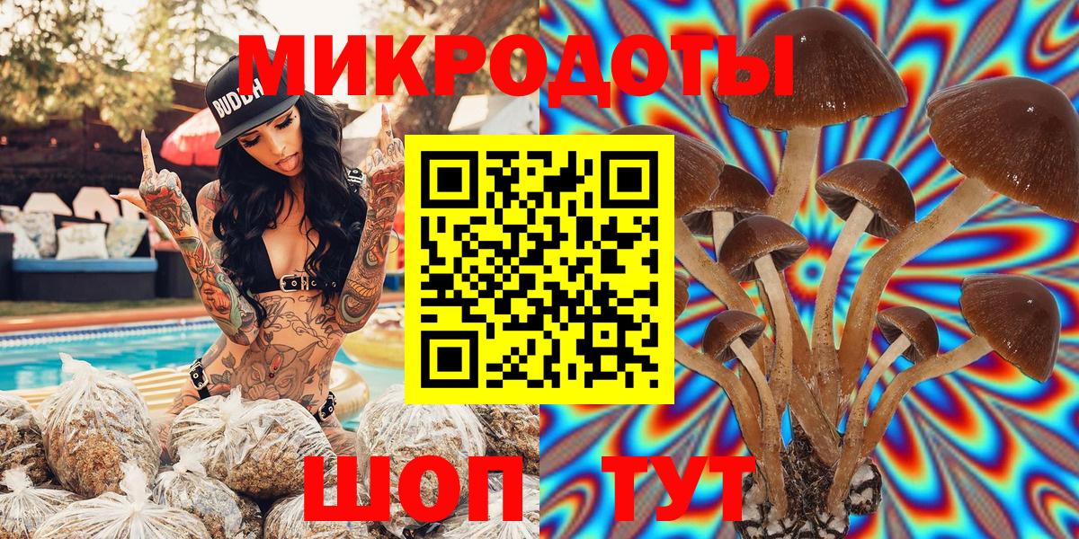 Галлюциногенные грибы Psilocybine cubensis Камышин