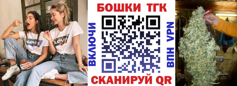 купить закладку  Камышин  Каннабис сатива 